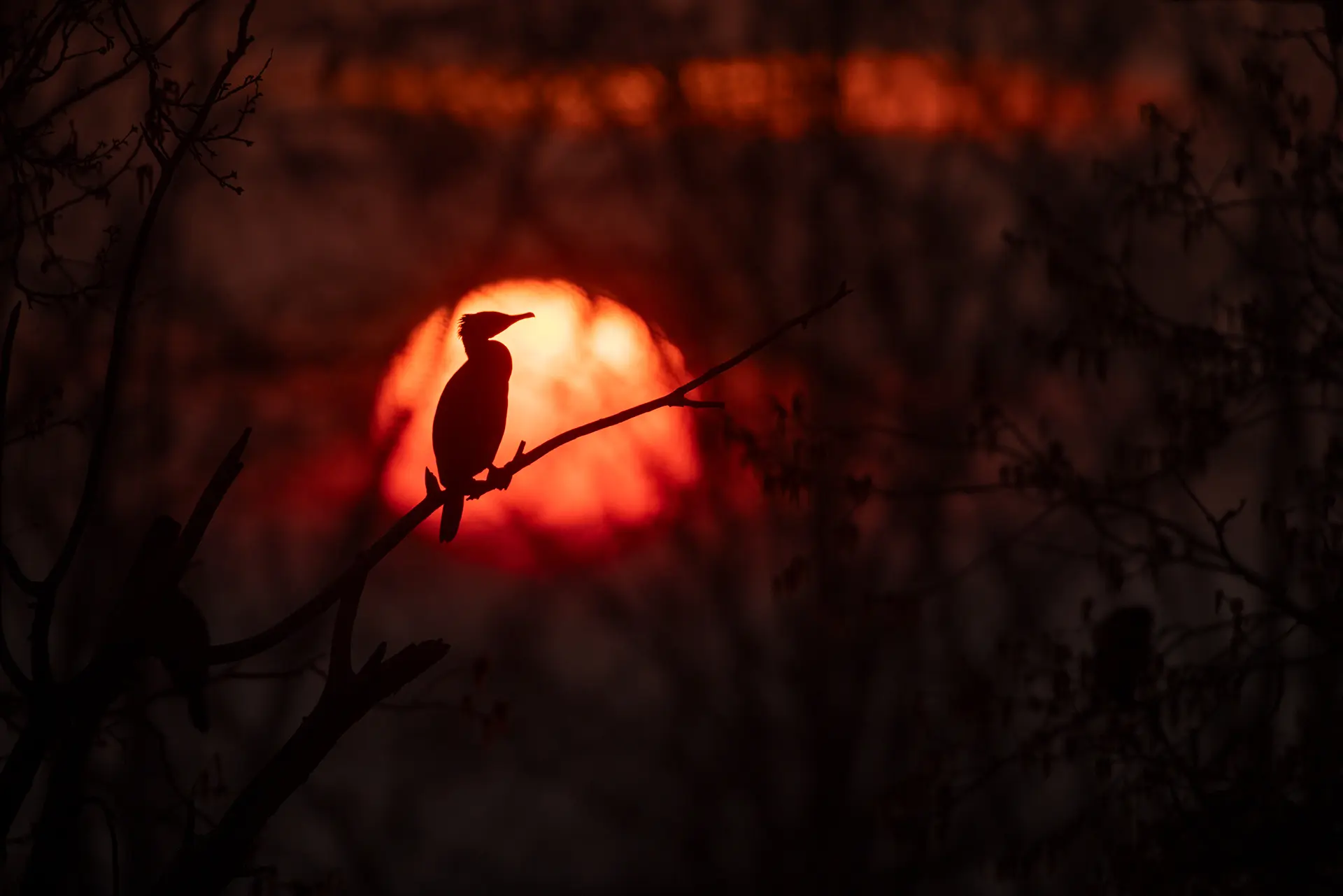 Tramonto d’autunno