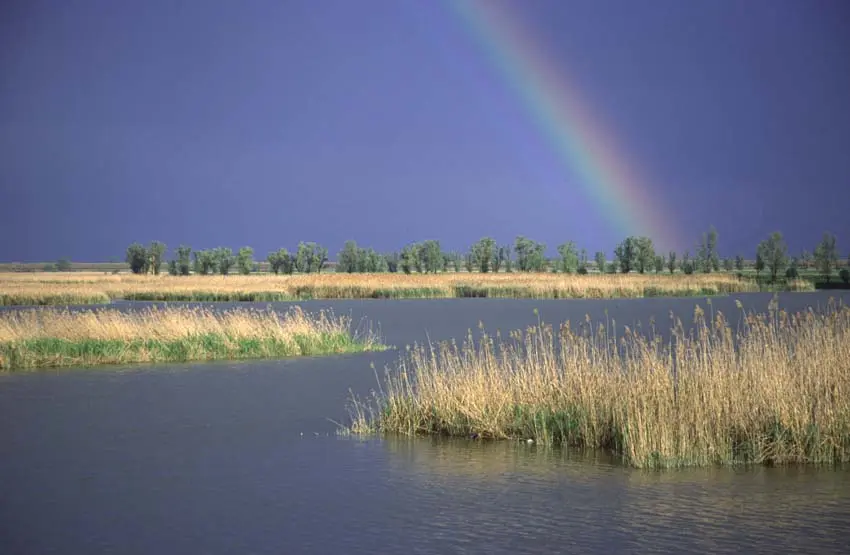 Un tocco di rosa nelle Valli di Argenta